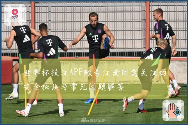 世界杯投注APP账号注册时需关注的安全秘诀与常见问题解答