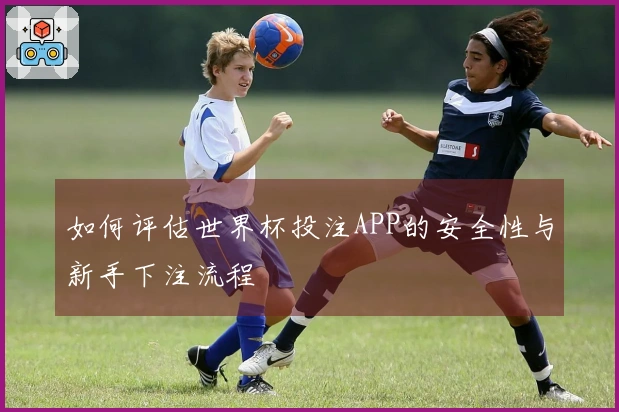 如何评估世界杯投注APP的安全性与新手下注流程
