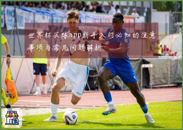 世界杯买球app新手入门必知的注意事项与常见问题解析