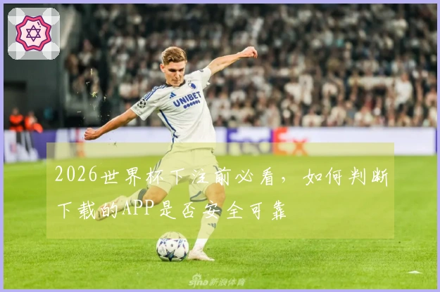 2026世界杯下注前必看，如何判断下载的APP是否安全可靠