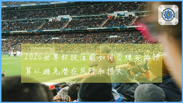 2026世界杯投注前如何合理安排预算以避免潜在风险和损失