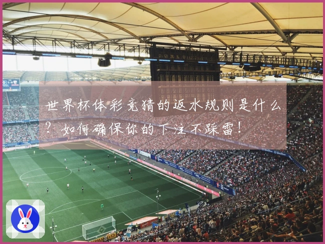 世界杯体彩竞猜的返水规则是什么？如何确保你的下注不踩雷！