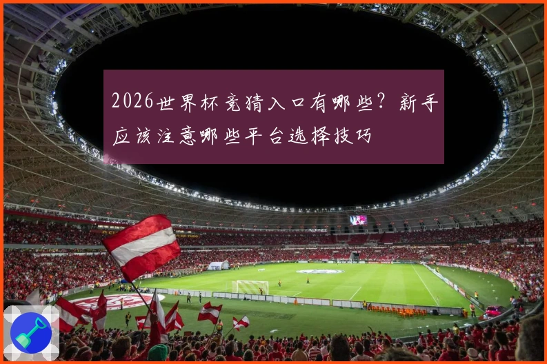 2026世界杯竞猜入口有哪些？新手应该注意哪些平台选择技巧
