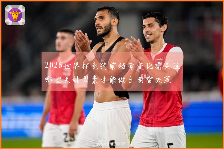 2026世界杯竞猜前赔率变化需关注哪些关键因素才能做出明智决策