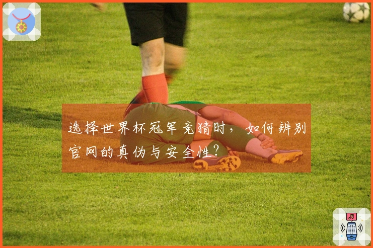 选择世界杯冠军竞猜时，如何辨别官网的真伪与安全性？