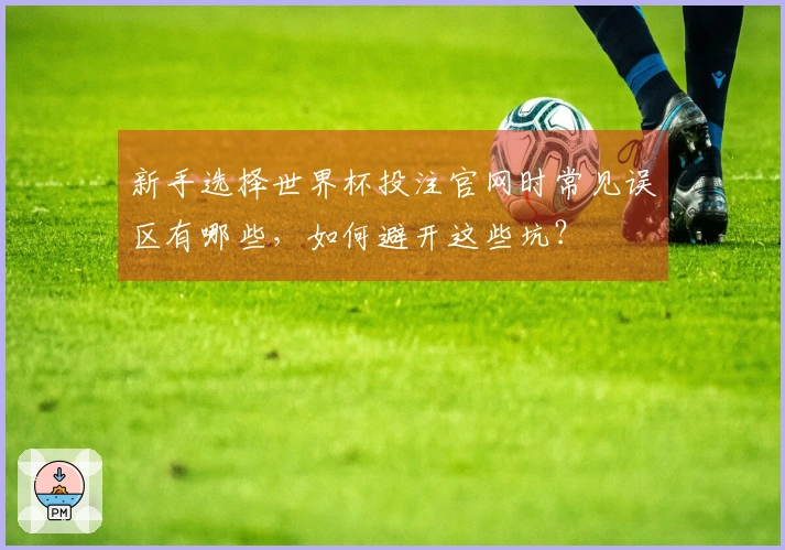 新手选择世界杯投注官网时常见误区有哪些，如何避开这些坑？