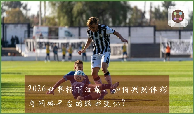 2026世界杯下注前,如何判别体彩与网络平台的赔率变化?