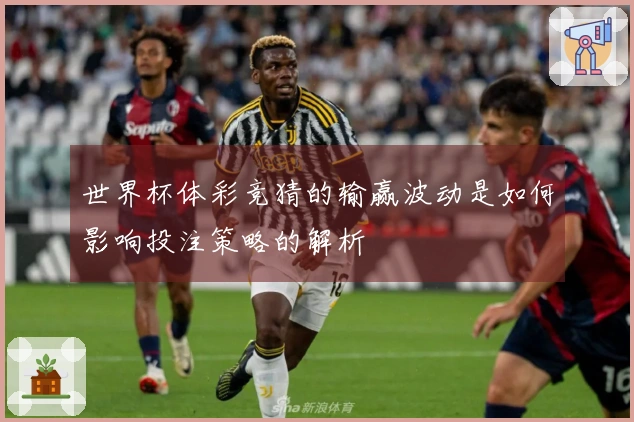 世界杯体彩竞猜的输赢波动是如何影响投注策略的解析