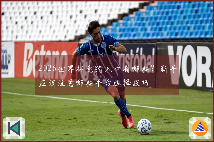 2026世界杯竞猜入口有哪些？新手应该注意哪些平台选择技巧