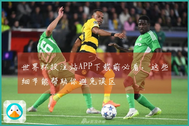 世界杯投注站APP下载前必看，这些细节能帮助你避免误区