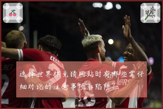 选择世界杯竞猜网站时有哪些需仔细对比的注意事项和陷阱？