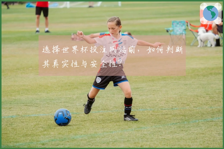 选择世界杯投注网站前，如何判断其真实性与安全性？