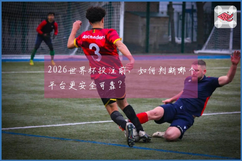 2026世界杯投注前，如何判断哪个平台更安全可靠？