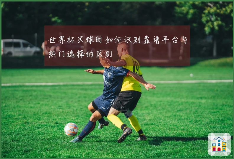 世界杯买球时如何识别靠谱平台与热门选择的区别