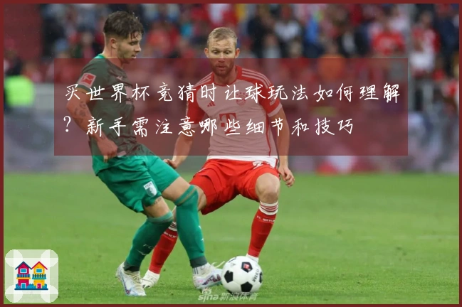 买世界杯竞猜时让球玩法如何理解？新手需注意哪些细节和技巧