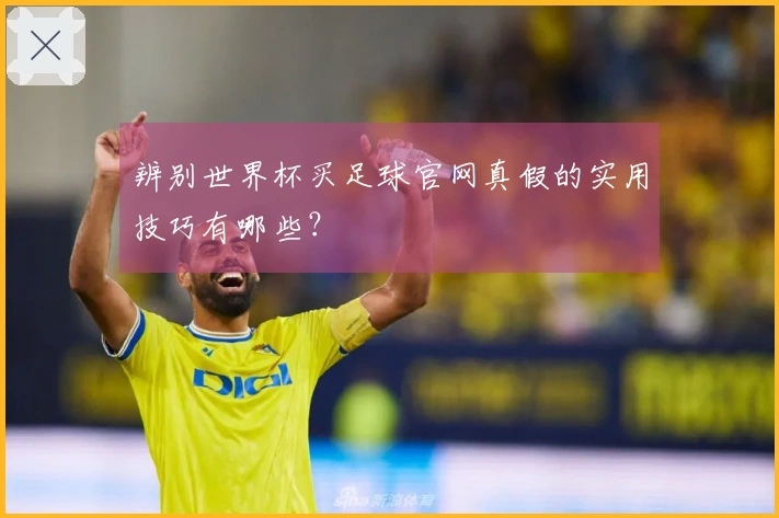 辨别世界杯买足球官网真假的实用技巧有哪些？