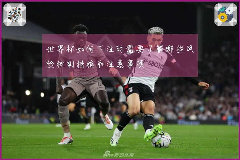 世界杯如何下注时需要了解哪些风险控制措施和注意事项