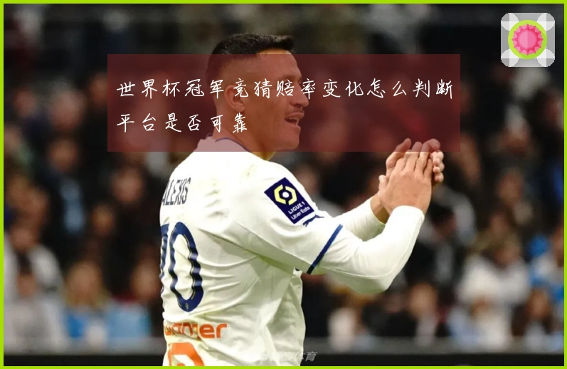 世界杯冠军竞猜赔率变化怎么判断平台是否可靠