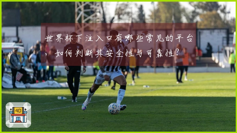 世界杯下注入口有哪些常见的平台，如何判断其安全性与可靠性？