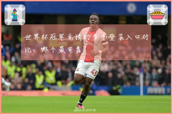 世界杯冠军竞猜的多个登录入口对比,哪个最可靠?