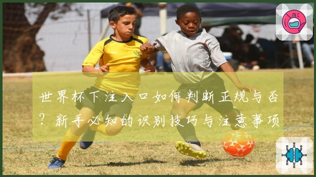 世界杯下注入口如何判断正规与否？新手必知的识别技巧与注意事项