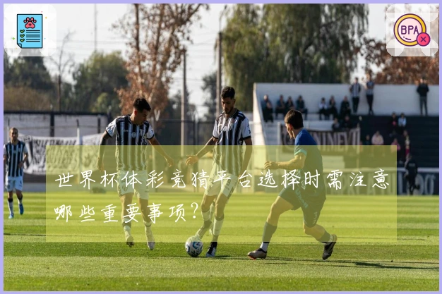 世界杯体彩竞猜平台选择时需注意哪些重要事项？